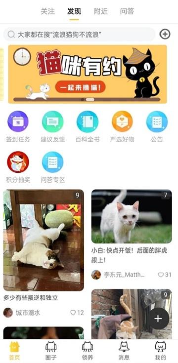种猫家app下载,猫咪app,种猫家,宠物app