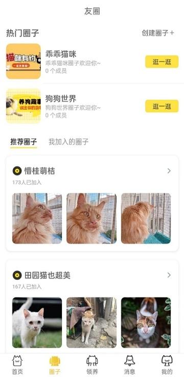 种猫家app下载,猫咪app,种猫家,宠物app